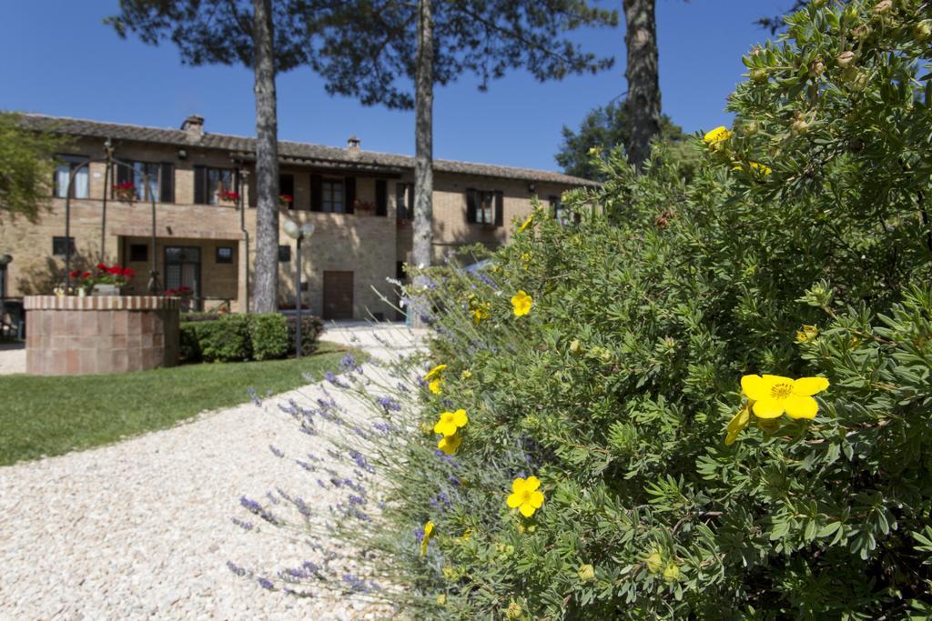 Agriturismo San Galgano Chiusdino Buitenkant foto